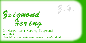 zsigmond hering business card